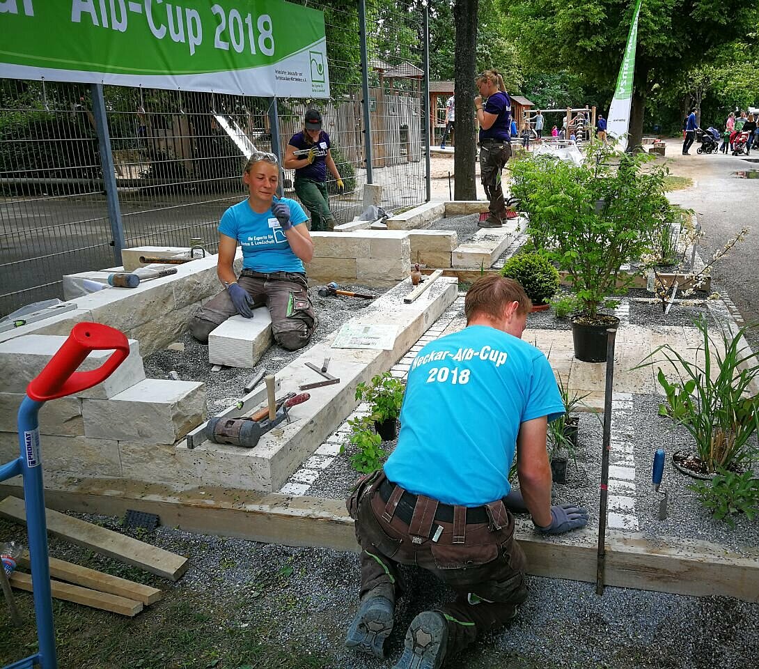 Ausbildung auf Spitzenniveau 