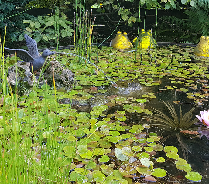 Familiengarten in der alten Obstwiese