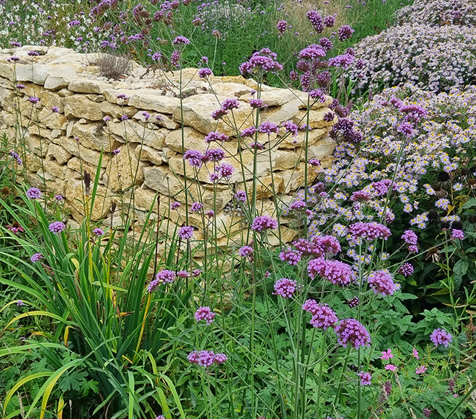 Hausgarten im modernen Design und trotzdem sehr naturnah