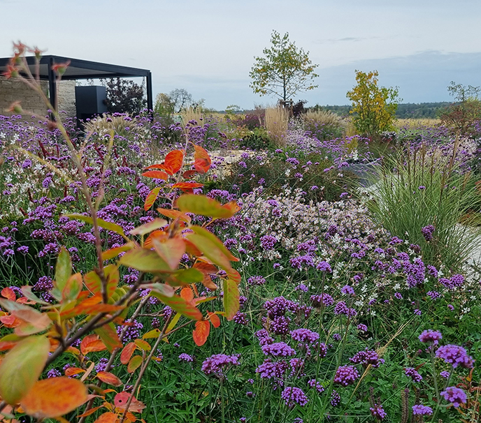 Hausgarten im modernen Design und trotzdem sehr naturnah