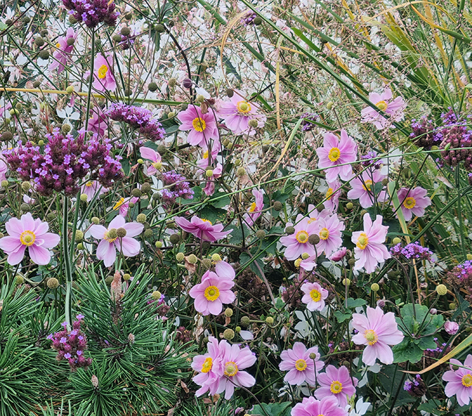 Hausgarten im modernen Design und trotzdem sehr naturnah