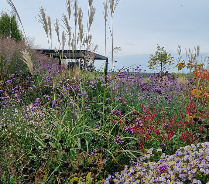 Hausgarten im modernen Design und trotzdem sehr naturnah