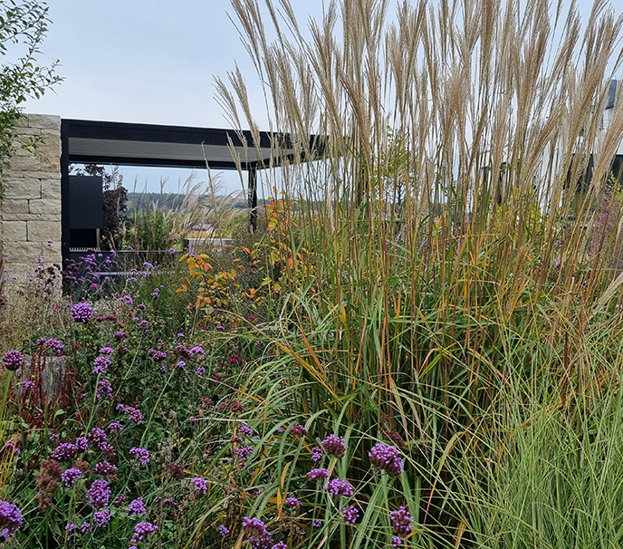 Hausgarten im modernen Design und trotzdem sehr naturnah