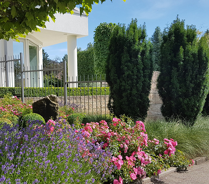 Mediterraner Garten auf der Schwäbischen Alb