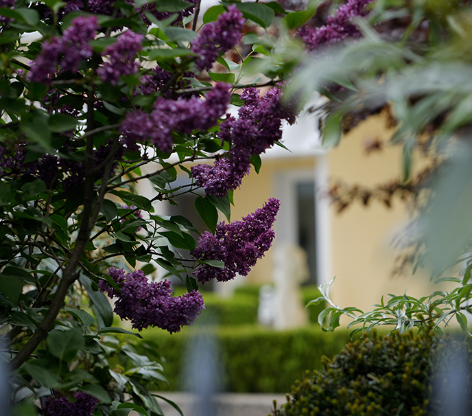 Mediterraner Garten auf der Schwäbischen Alb