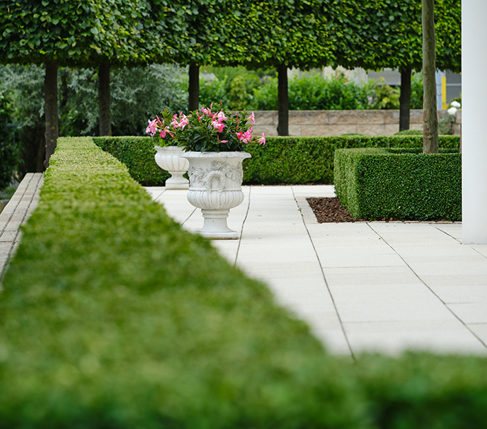 Mediterraner Garten auf der Schwäbischen Alb