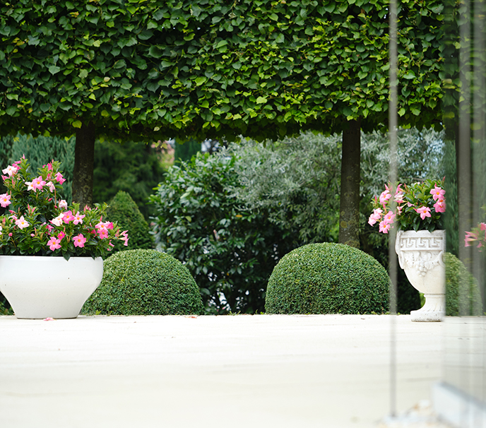 Mediterraner Garten auf der Schwäbischen Alb