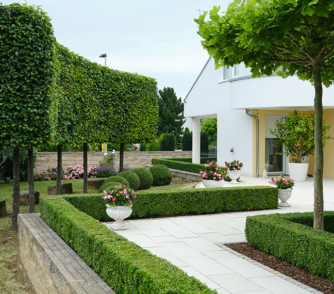 Mediterraner Garten auf der Schwäbischen Alb