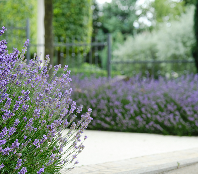 Mediterraner Garten auf der Schwäbischen Alb