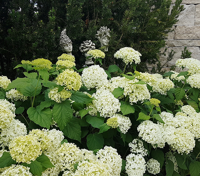 Wohnzimmer und Garten in Einem