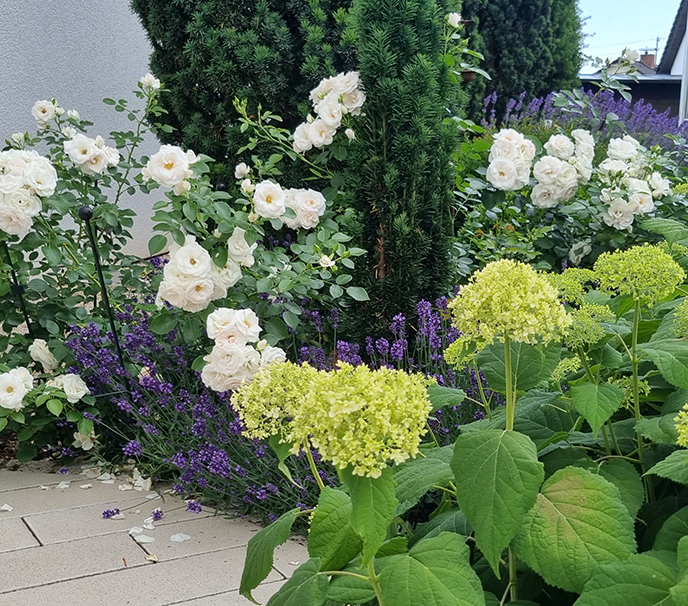 Wohnzimmer und Garten in Einem